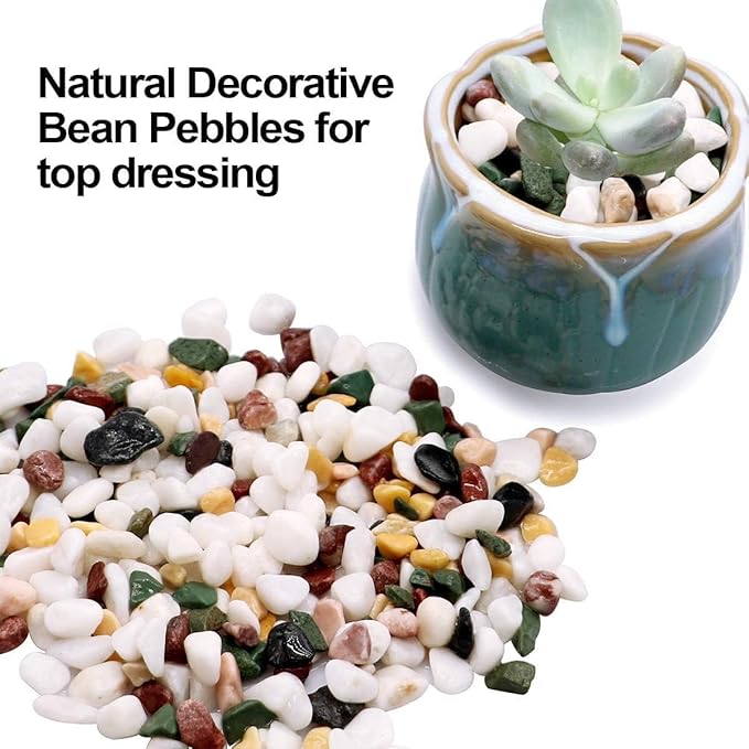 TOYPOPOR 6LB Succulent and Cactus Gravel Pebbles, 1/5 Inch Natural Decorative - Image 4