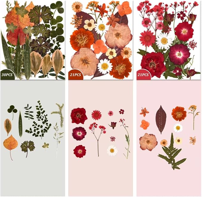 9 Packs of 200 Pressed Dried Flowers and Leaves - Image 6