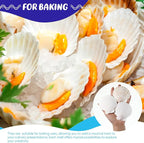 GlikCeil 50 Pcs Sea Shell for Crafting Natural Large Scallop White Oyster - Image 6