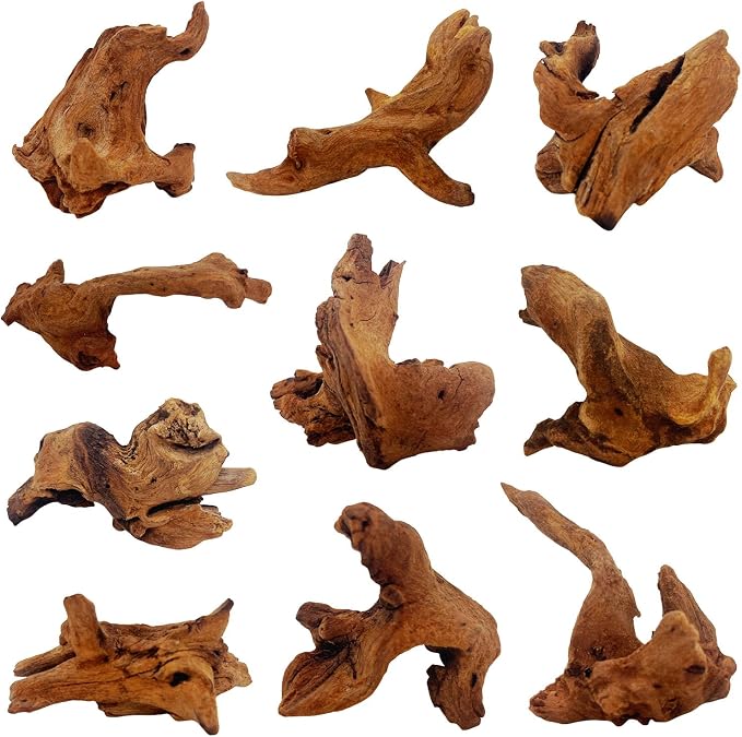 10 Pcs Natural Small Driftwood for Aquarium, Aquarium Driftwood Freshwater 2-4 by GDMYST
