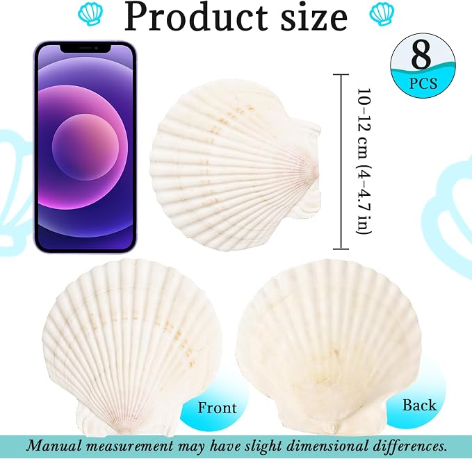 8 PCS Clam Shells for Crafts, Large Seashells for Crafts, Themed Party and Home - Image 2
