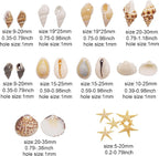 yaokan 10 Styles Natural Sea Shells & Starfish Set - Image 3