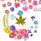 Real Dried Pressed Flowers for Crafts, Scrapbooking, Card Making, DIY - Image 8