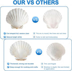 QEQEKAKA 6PCS Scallop Shells 4‘’-4.5" Natural Sea Shells White Hawaiian Scallop - Image 3