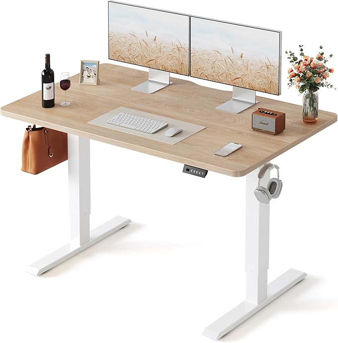 FEZIBO Standing Desk, 48 × 24 Inches Electric Height Adjustable, Sit and Stand by FEZIBO