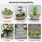 River Rocks, Landscaping Pebbles, Decorative Ornamental Pebbles, Garden - Image 6