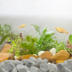 FANTIAN 5 lbs White Matte Rocks - Image 8