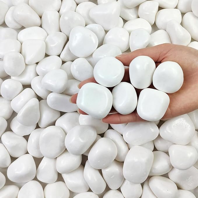 FANTIAN 5 lbs White Pebbles for Indoor Plants, Polished River Rocks, 1.5-2.5 by FANTIAN-GardeningMakesLifeBetter