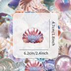 50 Pieces Sea Shell Themed Transparent Stickers - Image 9