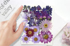 Purple Dried Pressed Flowers Real Natural Petals Bulk - Image 6