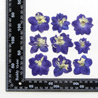 48 Pcs Dried Pressed Flowers for Resin DIY Art Crafts Natural Dry Sakura - Image 7
