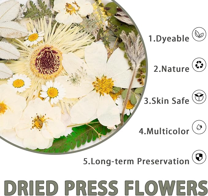 50Pcs Dried Pressed Flowers Real Pressed Flowers Natural Dry Leaves Bulk Mixed - Image 5