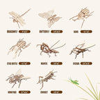 ELX Wooden 3D Puzzles for Kids 6+, 8 Piece Set Insect Animal Models, Wood - Image 2