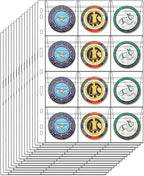 12-Pocket Coin Pages for Collectors, Standard 9-Hole Coin Collection Pages fit by Suremita