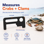 Crab Measurement Tool for Blue Crabs & Clams | VA Regulation 3.25-3.5" Peeler - Image 4