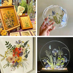 Dried Pressed Flowers - Image 5