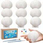 10 PCS Scallop Shells, Seashells by MORFEN
