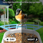 Bird Feeder with Camera, Smart AI Bird Breed Recognition, Birds Motion - Image 5