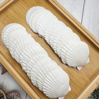 30 PCS Seashells for Crafts 2-3 Inches White Natural Bulk Scallop Shells for - Image 7