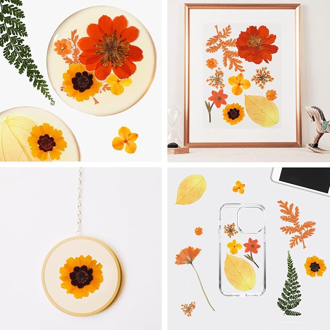Dried Pressed Flowers Real Natural Petals Bulk Dried Leaves Plant - Image 5