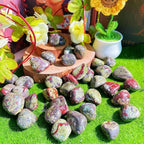 DUQGUHO Dragon Blood Stone Crystals Bulk Natural Irregular Polished Stones - Image 5