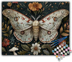 Offito Paint by Numbers Kit for Adults by Offito