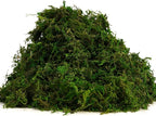USMOLA 8OZ Fake Green Moss for Crafts, Terrariums, Fairy Gardens & Indoor Plants - Image 8