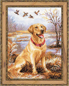 RIOLIS - Labrador 1399, Dogs Cross Stitch Kits 11, Counted Cross Stitch Kits by RIOLIS