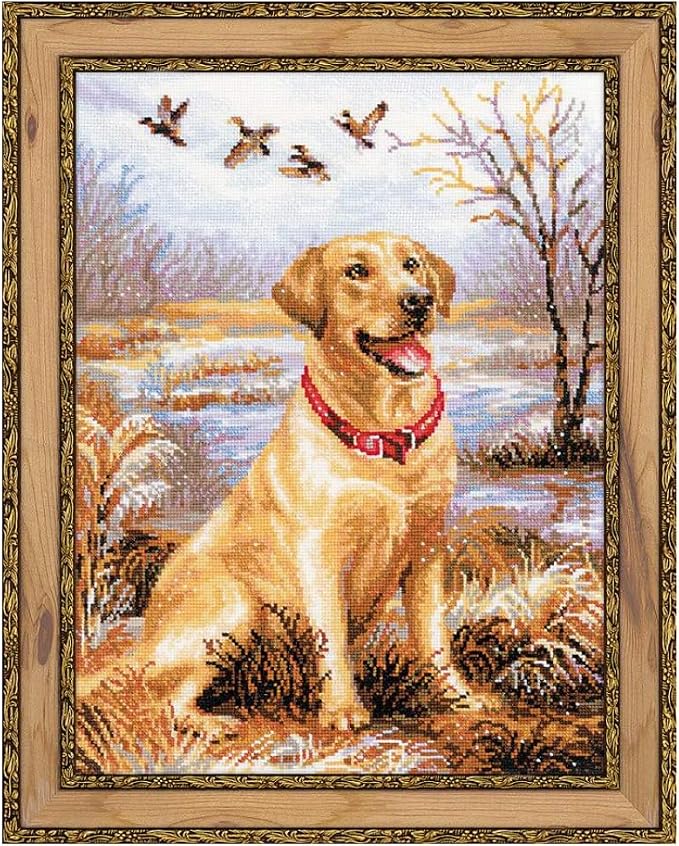 RIOLIS - Labrador 1399, Dogs Cross Stitch Kits 11, Counted Cross Stitch Kits by RIOLIS