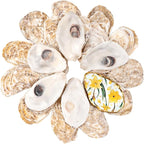 30Pcs Flat Oyster Shells for Crafts, 3-4 Inch Cleaned Natural Oyster Shells for by LAMIVORA
