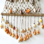 20 PCS+ Small Conch Shells Natural Sea Shells, Fish Tank and Vase Filler - Image 4
