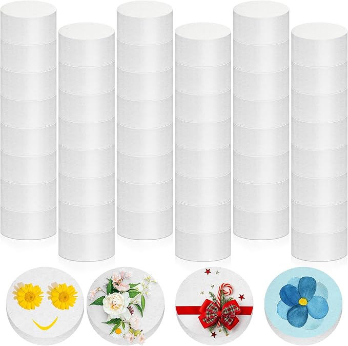 Henoyso 48 Pcs 2 Inch Foam Circles by Henoyso