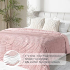 Drewin Weighted Blanket for Adults Queen Size 15lbs, Soft Cozy Turtleback - Image 4
