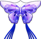 SGftre Golden Butterfly Design Kites ，Outdoor Work Colorful Kite Long by SGftre
