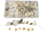 yaokan Natural Sea Shells & Starfish Set, Drilled Beach Shells | DIY Crafts - Image 4
