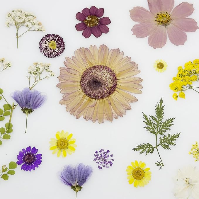Woohome 44 PCS Real Pressed Flowers, Dry Leaves Natural Dried Pressed Leaves - Image 3