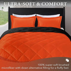downluxe Queen Comforter Set - Image 2