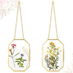 Qunclay 2 Pcs Double Glass Frame by Qunclay