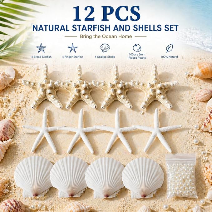 JSPYFITS 2.5-4 Inches Large Starfish and Scallop Shells - Image 2