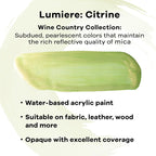 Jacquard Lumiere 2.25oz Fabric Paint Citrine - Image 3