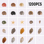 1200 PCS Tiny Seashells & 21 Starfish Mixed 18 Kinds Bulk Beach Small Shells - Image 3