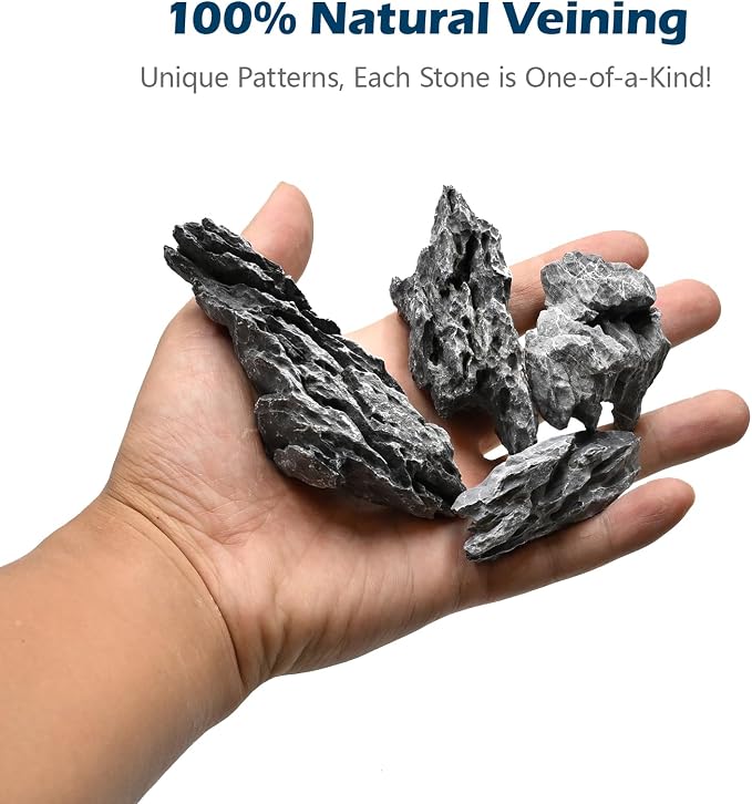 Natural Rocks Seiryu Stone 1-2.5 Inches Decorative Stones - Image 2