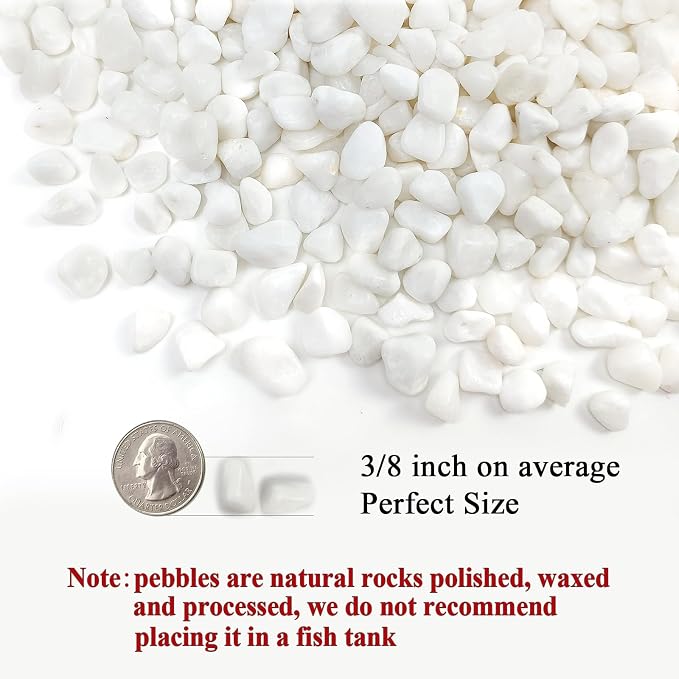 FANTIAN 10 lbs White Pebbles for Indoor Plants, 3/8 Inch Decorative White - Image 2