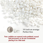 FANTIAN 10 lbs White Pebbles for Indoor Plants, 3/8 Inch Decorative White - Image 2