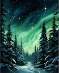 Paint by Numbers Kit for Adults Beginner, Aurora Adult Paint by Number Kits on by Fountor