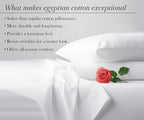 California Design Den 100% Egyptian Cotton Pillow Cases Standard Size Set of 2 - Image 8