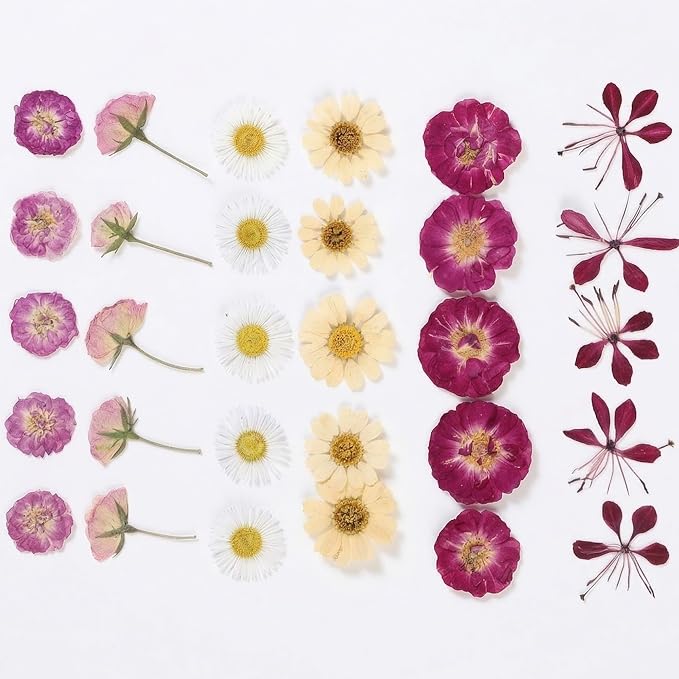 86pcs Pressed Flowers for Resin, Dried Flowers and Dry Leaves for Scrapbooking - Image 5