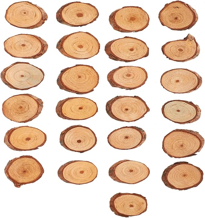 Rustic Unfinished Wooden Ornament Craft Kit 25 Piece DIY Blank Set by ZJchao
