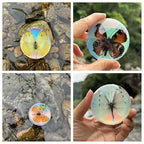 Real Butterfly Specimens, Resin Insect Specimens, Educational Bugs Specimen Set - Image 2