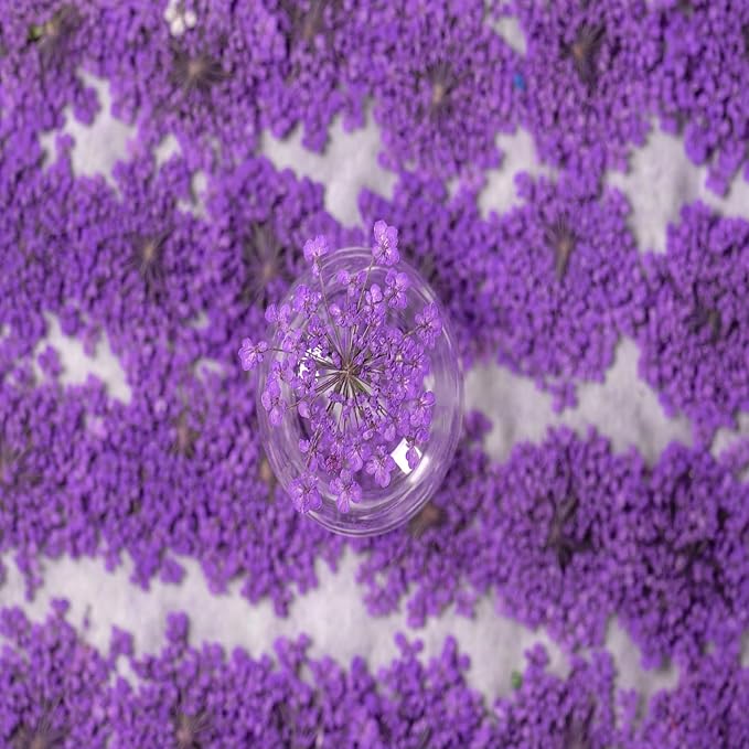 60 Pcs Dried Pressed Flowers for Resin DIY Art Crafts Natural Dry Floral Epoxy - Image 3